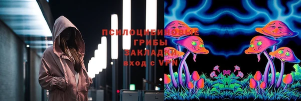 хмурый Белокуриха