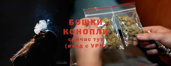 хмурый Белокуриха