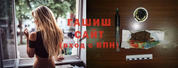 хмурый Белокуриха