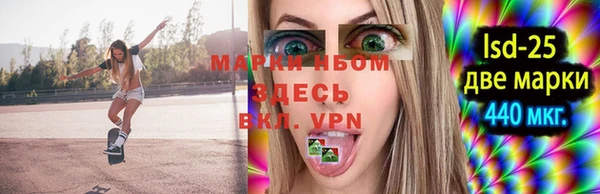 хмурый Белокуриха